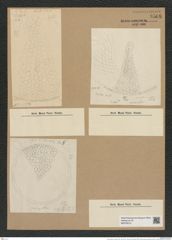 Coscinodiscus robustus Grev. (de-Toni-Nr.: Genus 202, Species 4967) Zeichnungen Sammlung Grunow Nr. 8568 (NHMW-BOT-W0378214)